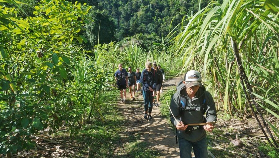 Chiang Mai: Guided Jungle and Waterfall Trek with Transfer - Lunch beside the forest