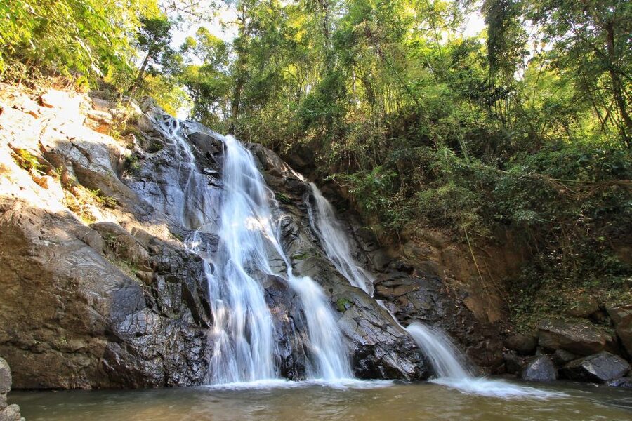 Chiang Mai: Guided Jungle and Waterfall Trek with Transfer - How the $64 price works out