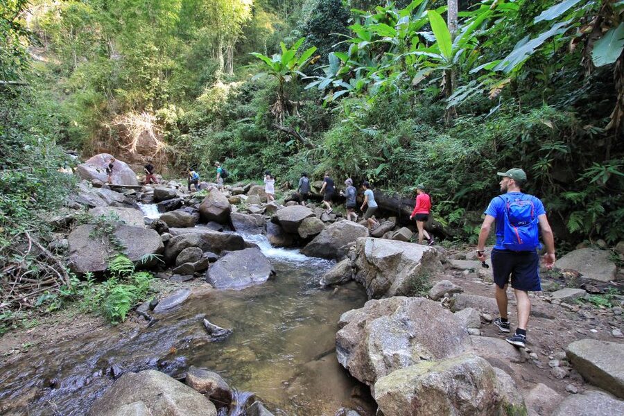 Chiang Mai: Guided Jungle and Waterfall Trek with Transfer - What to bring for the six-hour outing