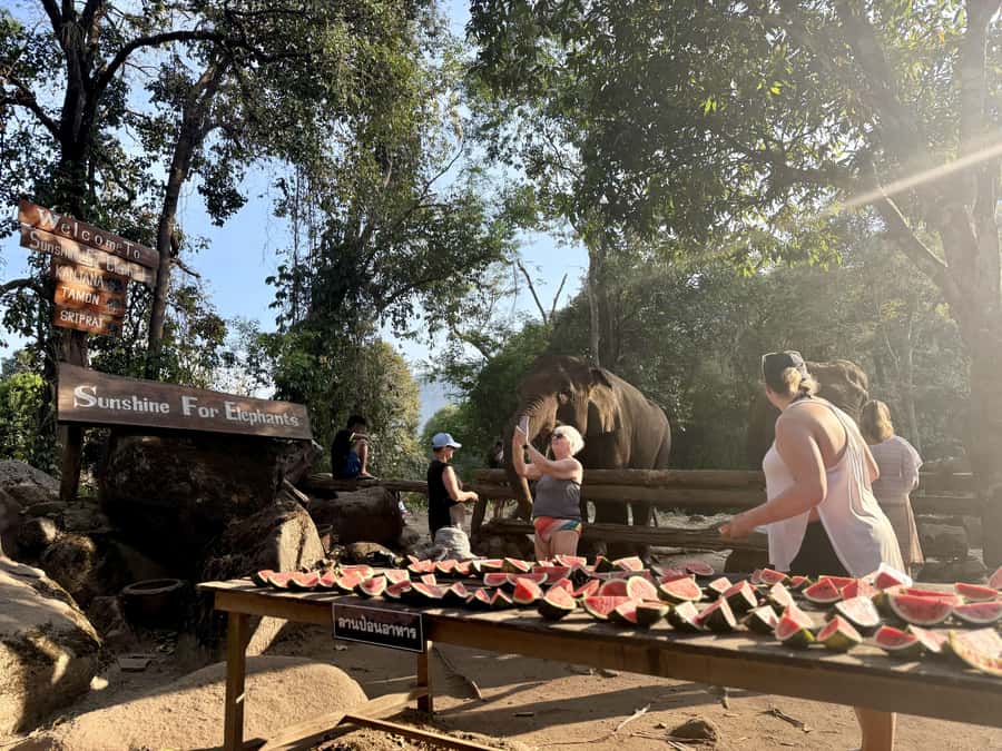 Chiang Mai Half-Day Adventure: River Tubing & Waterfall - FAQ