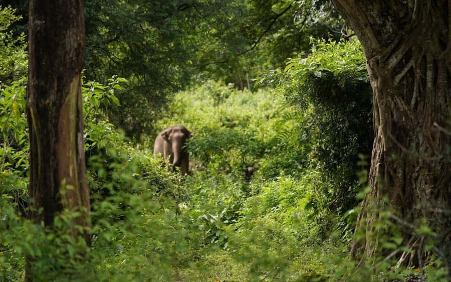 Chiang Mai Half-Day Adventure: River Tubing & Waterfall - The base camp is part of the value
