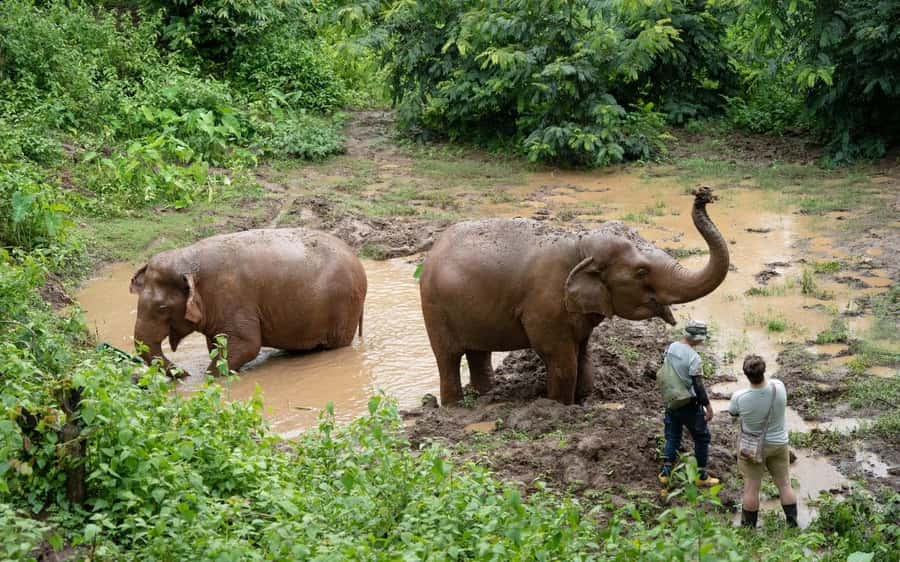 Chiang Mai Half-Day Adventure: River Tubing & Waterfall - Should you book the Mae Taeng adventure?