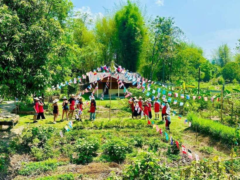 Chiang Mai: Half Day Cooking Class at Organic Farm - What this Chiang Mai cooking class is really like