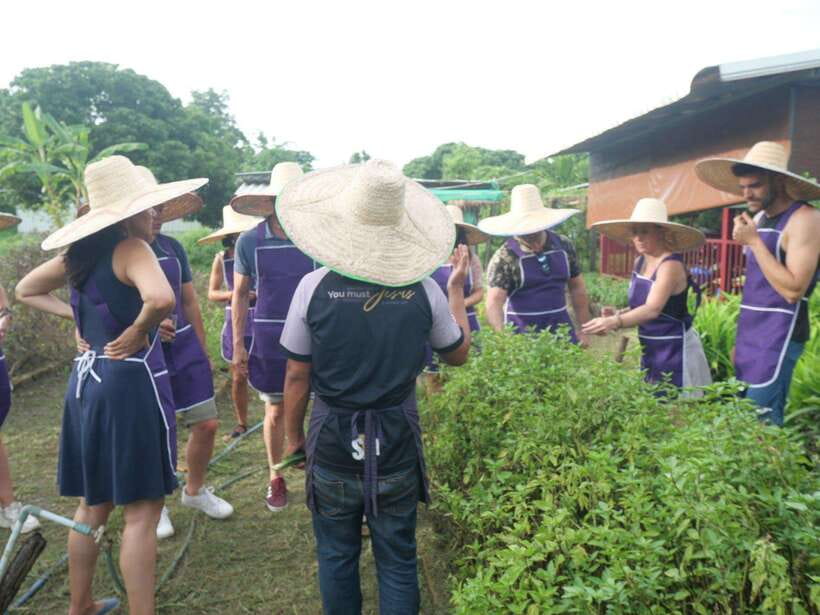 Chiang Mai: Half Day Cooking Class at Organic Farm - Price, transport, and timing