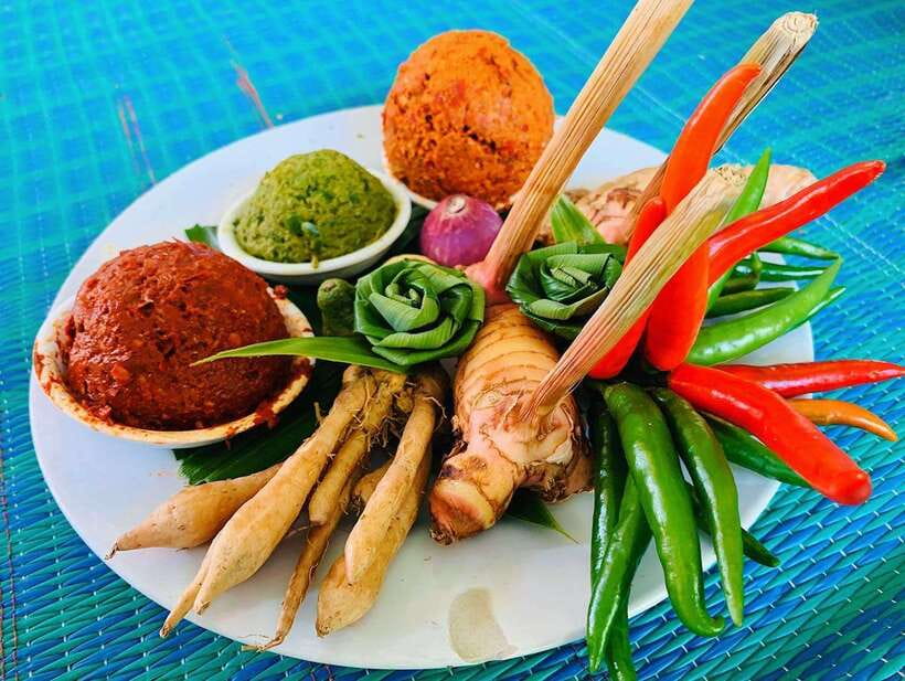 Chiang Mai: Half Day Cooking Class at Organic Farm - Who should book this class