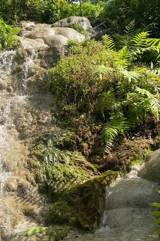 Chiang Mai Half Day Tour: Sticky Waterfall & Hotel Transfer - Morning crowds make a real difference