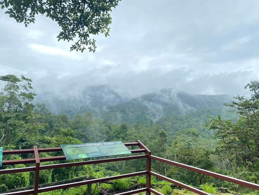 Chiang Mai Half Day Tour: Sticky Waterfall & Hotel Transfer - Price, pickup, and what the value really means