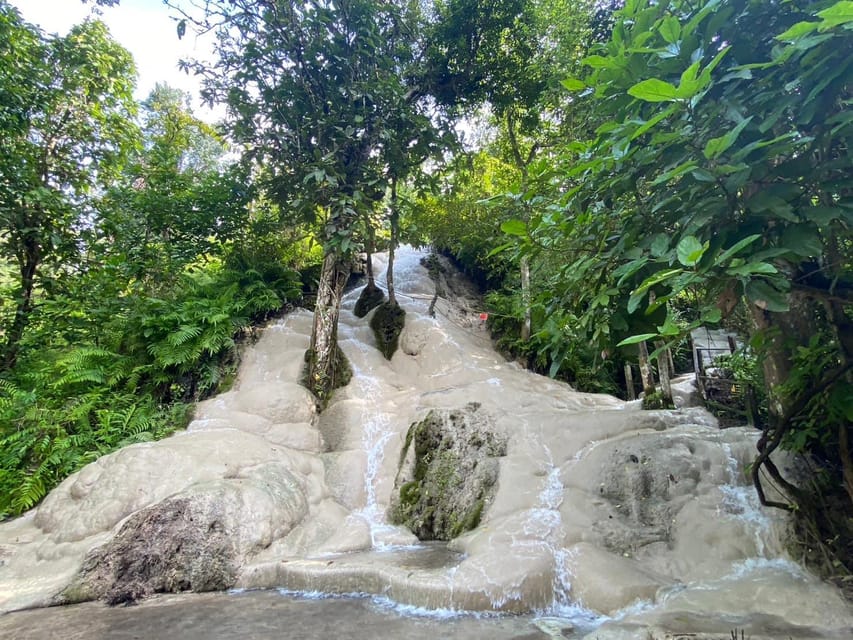 Chiang Mai Half Day Tour: Sticky Waterfall & Hotel Transfer - What the half-day schedule looks like