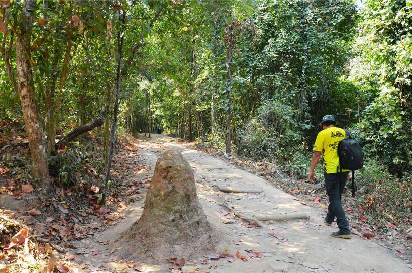 Chiang Mai: Hike on Monk’s Trail and Doi Suthep Private Tour - What to wear and pack for the mountain