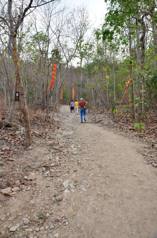 Chiang Mai: Hike on Monk’s Trail and Doi Suthep Private Tour - Who should book this outing?