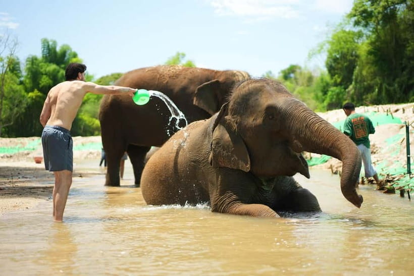 Chiang Mai: Jungle Jumbo Elephant Sanctuary with Waterfall - Key points to know before booking