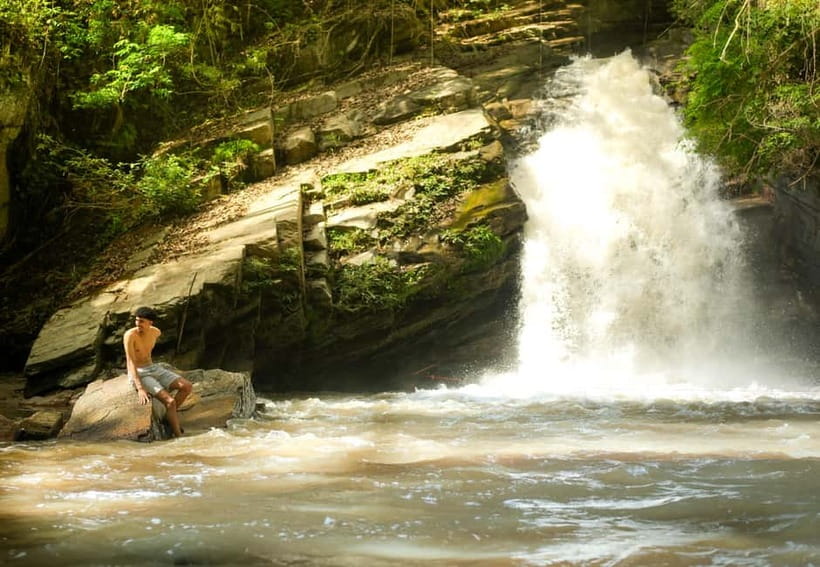 Chiang Mai: Jungle Jumbo Elephant Sanctuary with Waterfall - A jungle walk leading to a seasonal waterfall