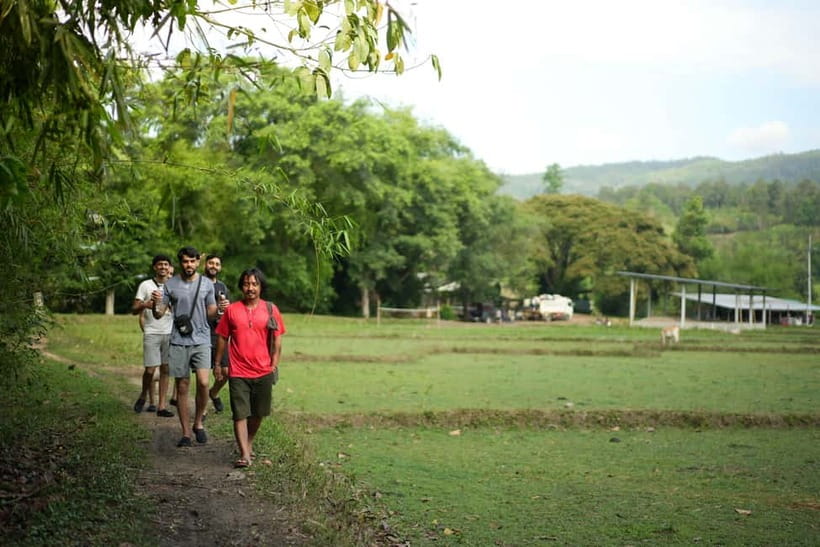 Chiang Mai: Jungle Jumbo Elephant Sanctuary with Waterfall - What the elephant session feels like