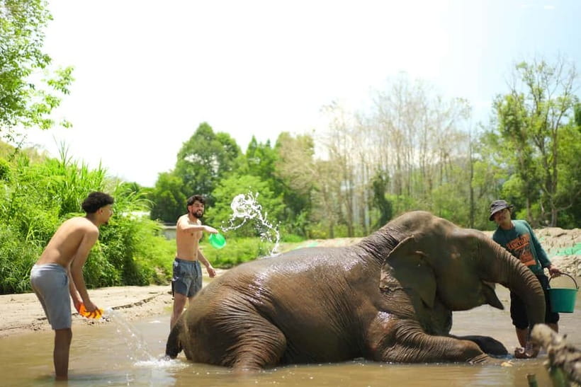 Chiang Mai: Jungle Jumbo Elephant Sanctuary with Waterfall - Is $45 good value in Chiang Mai?