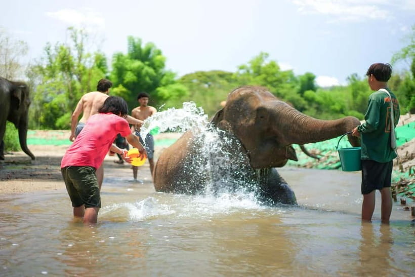 Chiang Mai: Jungle Jumbo Elephant Sanctuary with Waterfall - The village visit is brief and personal