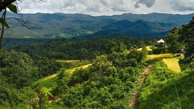 Chiang Mai: Jungle Trek, Elephants care & Bamboo Rafting - Who should book this day trip