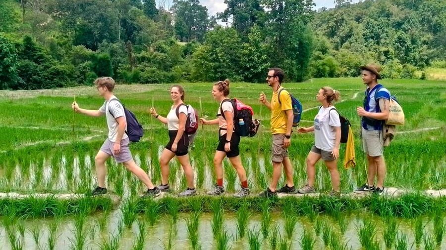 Chiang Mai: Jungle Trek, Elephants care & Bamboo Rafting - The elephant-care question deserves attention