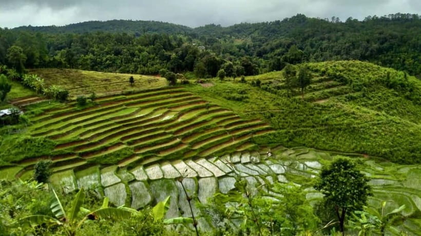 Chiang Mai: Jungle Trek, Elephants care & Bamboo Rafting - Timing, transport, and the return to Chiang Mai
