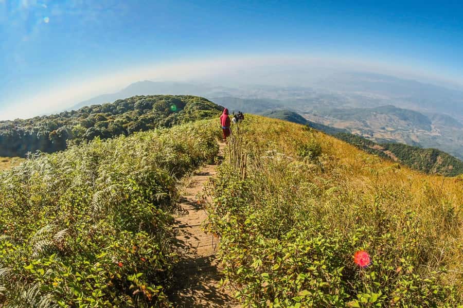 Chiang Mai: Kew Mae Pan Nature Trail & Doi Inthanon Day Trip - Walking the Kew Mae Pan Nature Trail