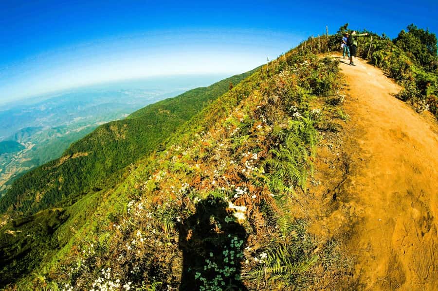 Chiang Mai: Kew Mae Pan Nature Trail & Doi Inthanon Day Trip - Who Will Enjoy This Day Most