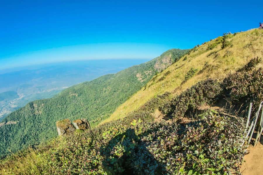 Chiang Mai: Kew Mae Pan Nature Trail & Doi Inthanon Day Trip - Practical Tips for a Better Day