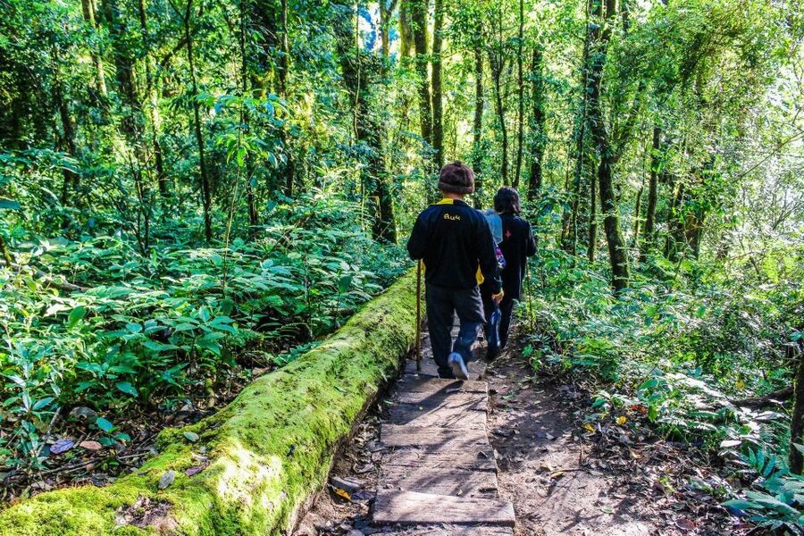 Chiang Mai: Kew Mae Pan Nature Trail & Doi Inthanon Day Trip - Is This Doi Inthanon Tour Worth Booking?