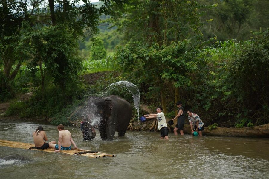 Chiang Mai: National Elephant Care, Rafting, & Ziplines Trip - Key points to know before booking