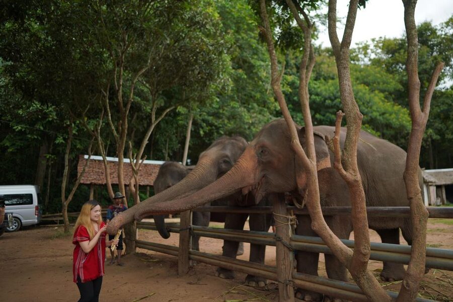 Chiang Mai: National Elephant Care, Rafting, & Ziplines Trip - What to bring for a smoother day