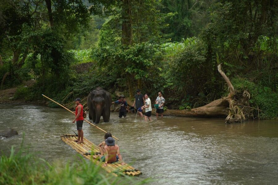 Chiang Mai: National Elephant Care, Rafting, & Ziplines Trip - Should you book the Mae Wang day trip?