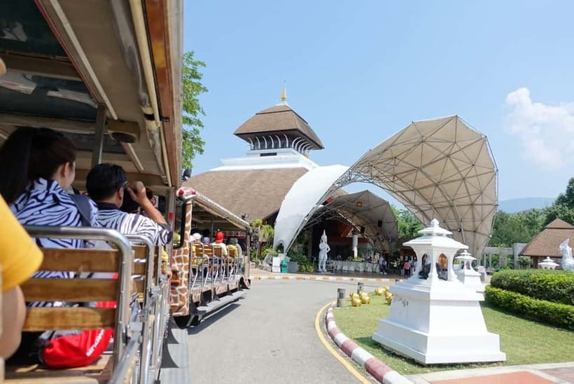Chiang Mai Night Safari: Entry Ticket with Tram Ride - Why Chiang Mai Night Safari works best after sunset