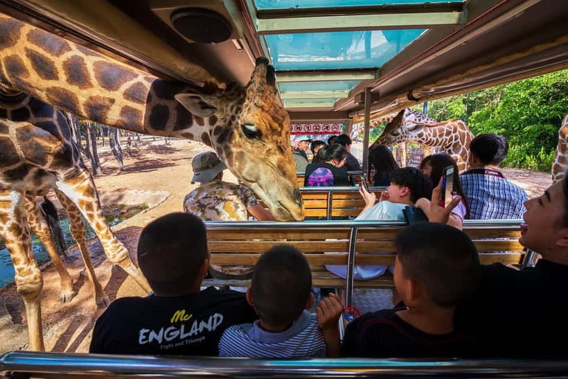 Chiang Mai Night Safari: Entry Ticket with Tram Ride - Walking the Jaguar Trail beside the lake