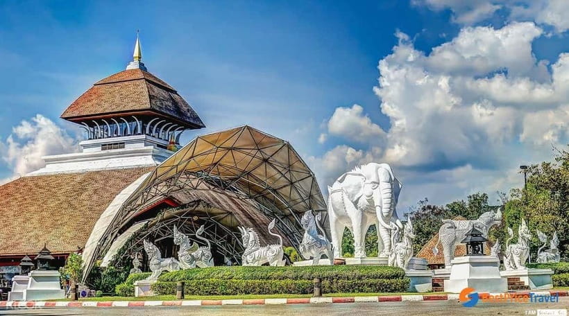 Chiang Mai Night Safari Ticket & Tram Rides Optional Pickup - How the pickup affects the evening