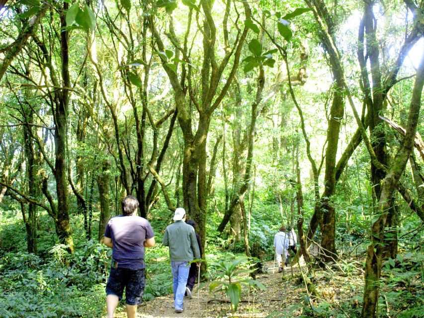 Chiang Mai: Pha Dok Siew Nature Trail & Doi Inthanon Trip - Why this Doi Inthanon day makes sense