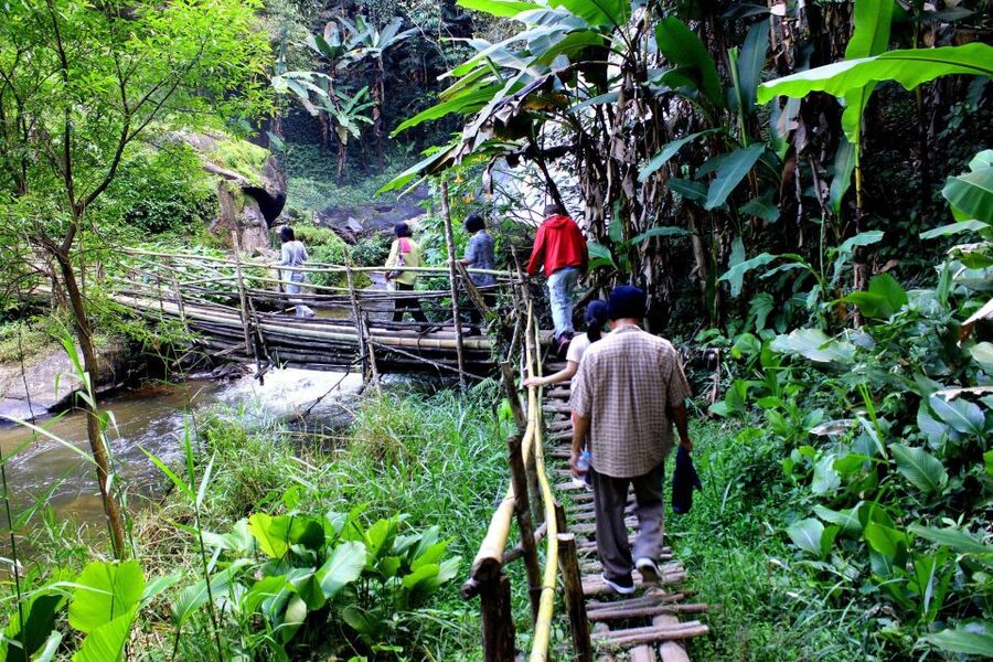 Chiang Mai: Pha Dok Siew Nature Trail & Doi Inthanon Trip - Forest knowledge from local communities