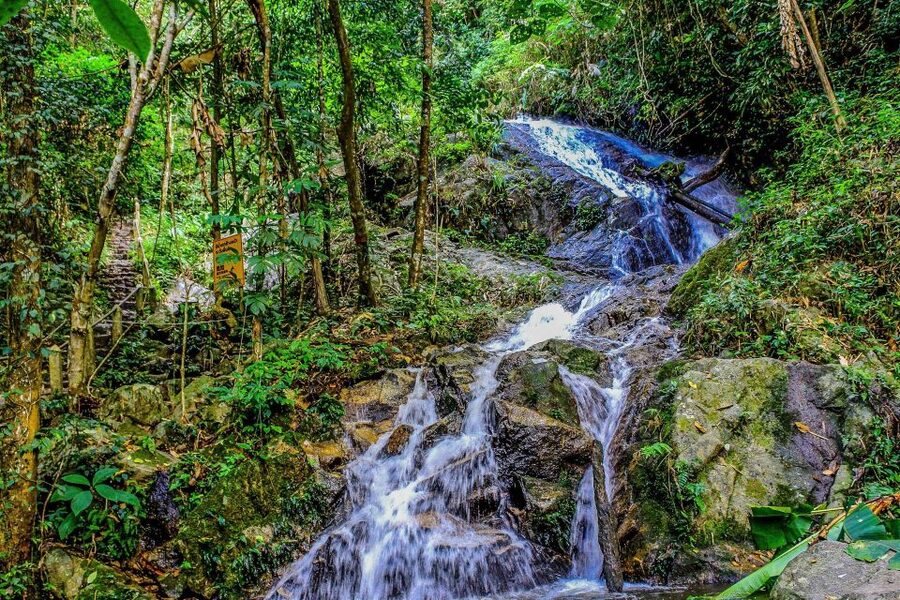 Chiang Mai: Pha Dok Siew Nature Trail & Doi Inthanon Trip - Lunch and the day’s changing pace