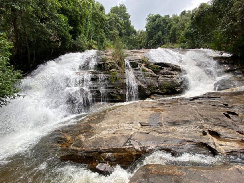 Chiang Mai: Pha Dok Siew Nature Trail & Doi Inthanon Trip - The early pickup from Chiang Mai