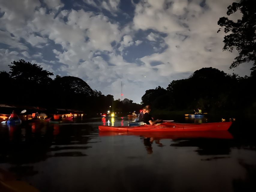 Chiang Mai: Ping River Night Kayaking into City Center - Why the river feels calm rather than adventurous