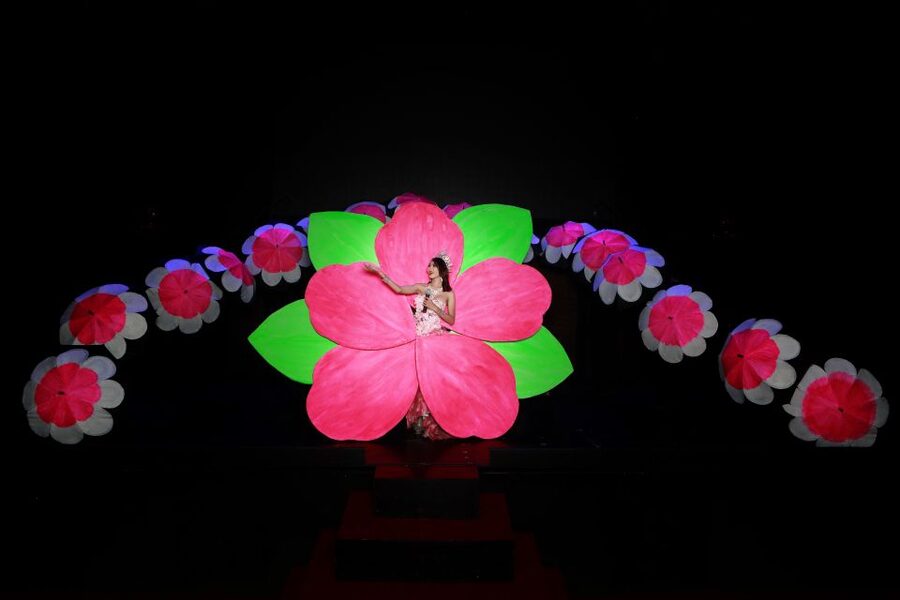 Chiang Mai: Siam Dragon Cabaret Show with Optional Transfer - Costumes, choreography, and comic timing