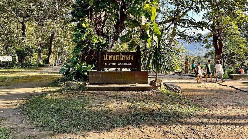 Chiang Mai: Sticky Waterfall, Chet Si Fountain Park Transfer - Who Will Enjoy This Half-Day Trip?