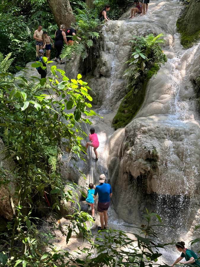 Chiang Mai : Sticky waterfall (Half Day Tour) Hotel Transfer - Why Bua Tong Waterfall is worth the trip