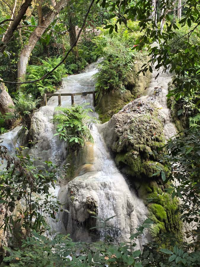 Chiang Mai : Sticky waterfall (Half Day Tour) Hotel Transfer - Two hours at the waterfall