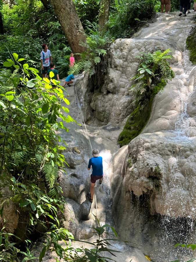 Chiang Mai : Sticky waterfall (Half Day Tour) Hotel Transfer - Is $19 good value?