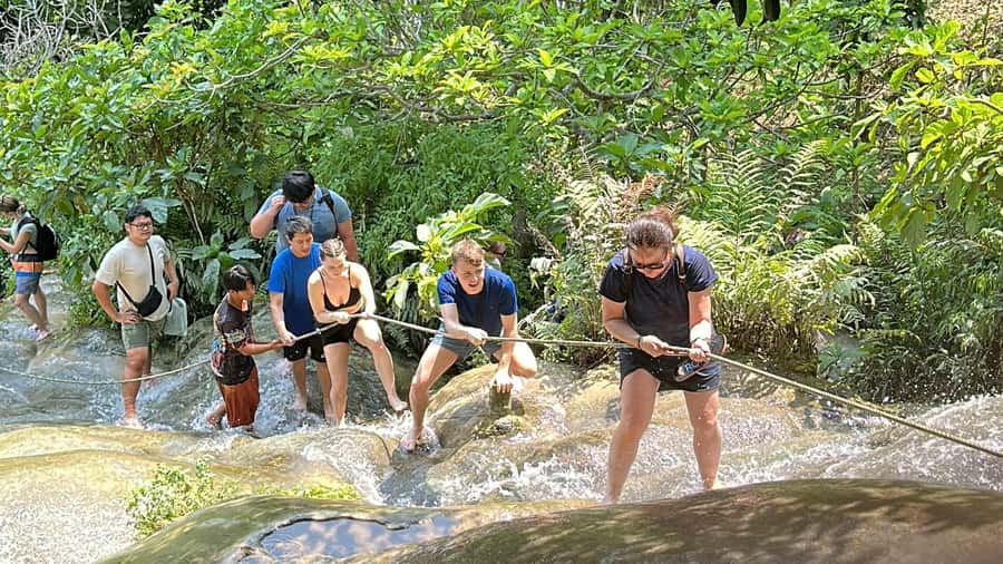 Chiang Mai : Sticky waterfall (Half Day Tour) Hotel Transfer - The morning and afternoon schedule