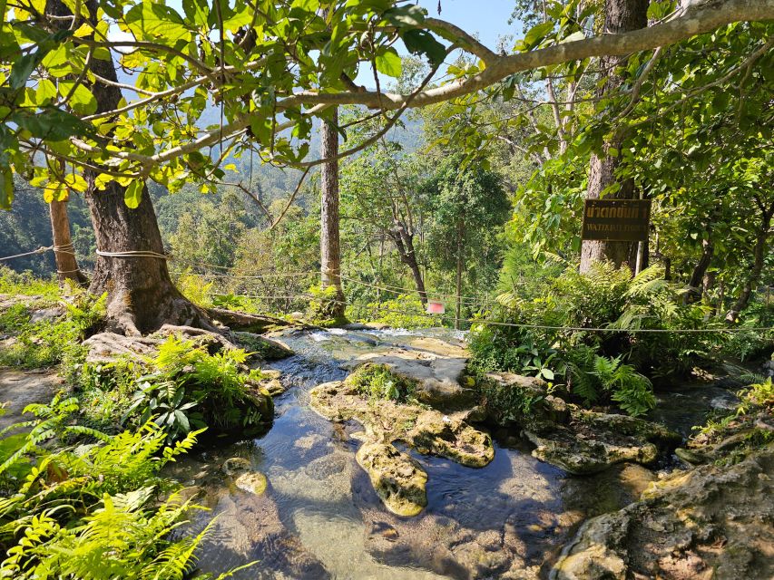 Chiang Mai: Sticky Waterfall Half-Day Tour & Hotel Transfers - Key points to know before you go