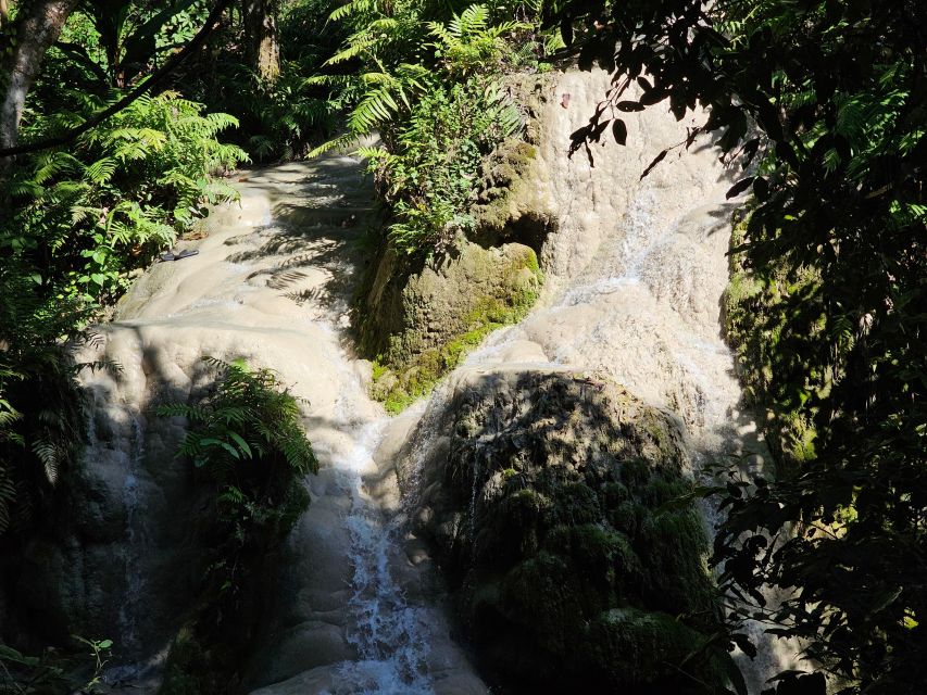 Chiang Mai: Sticky Waterfall Half-Day Tour & Hotel Transfers - Climbing Bua Thong, Chiang Mai’s unusual waterfall