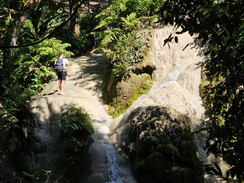 Chiang Mai: Sticky Waterfall Half-Day Tour & Hotel Transfers - Why the early morning departure is the smart choice