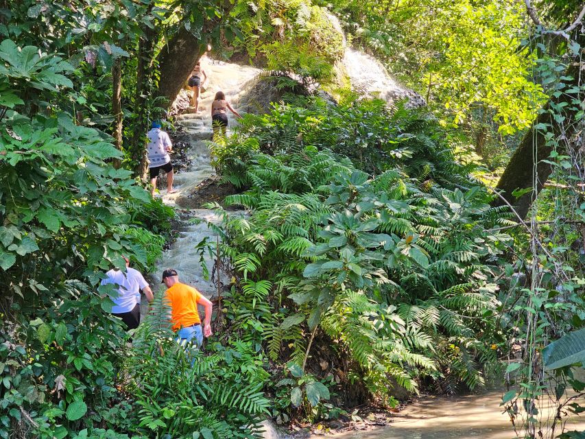 Chiang Mai: Sticky Waterfall Half-Day Tour & Hotel Transfers - What the $30 price really covers