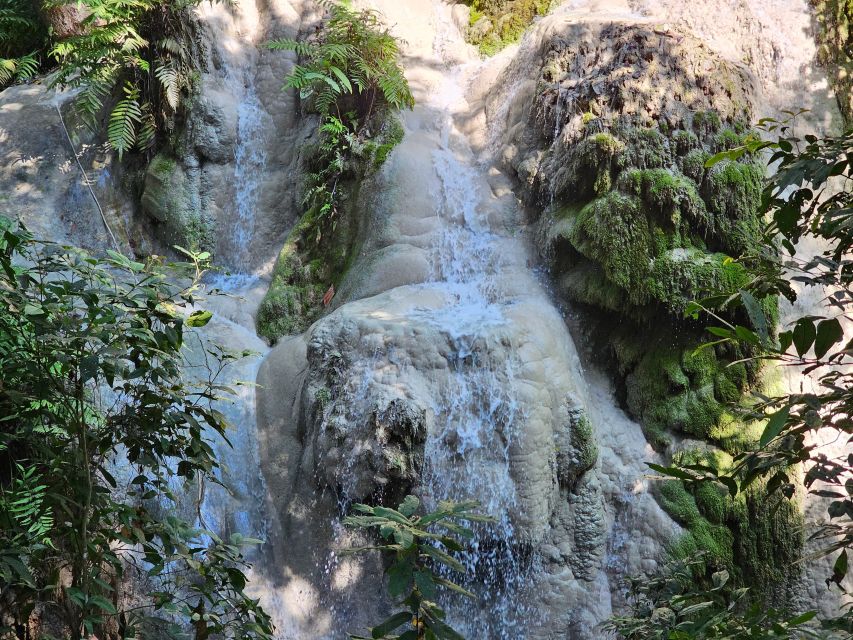 Chiang Mai: Sticky Waterfall Half-Day Tour & Hotel Transfers - Who will enjoy this half-day trip?