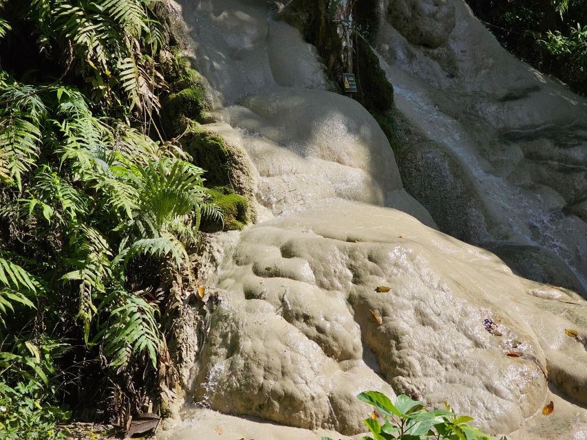 Chiang Mai: Sticky Waterfall Half-Day Tour & Hotel Transfers - Practical booking advice