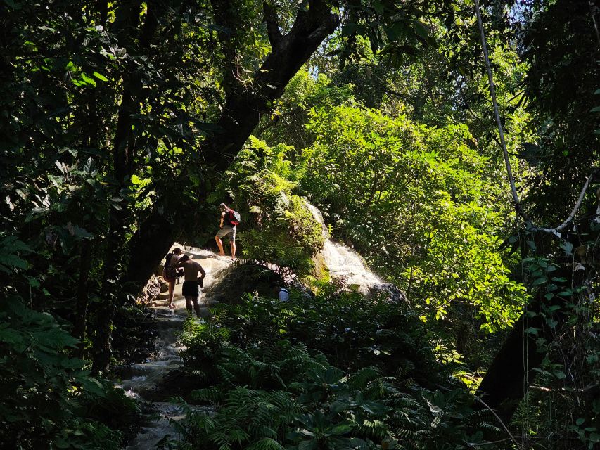 Chiang Mai: Sticky Waterfall Half-Day Tour & Hotel Transfers - The two-hour visit, step by step